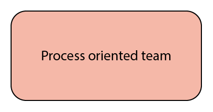 Process Oriented Team